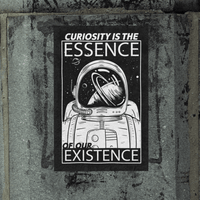 Load image into Gallery viewer, Curiosity is the Essence of our Existence Poster.
